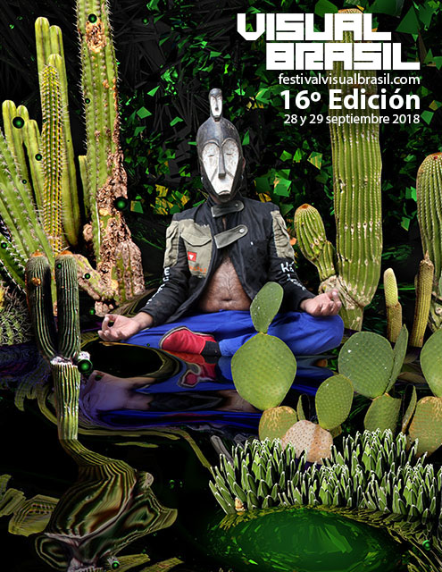 Visual Brasil 16º Edición (2018)